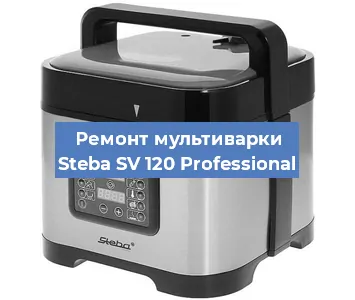 Замена ТЭНа на мультиварке Steba SV 120 Professional в Красноярске
